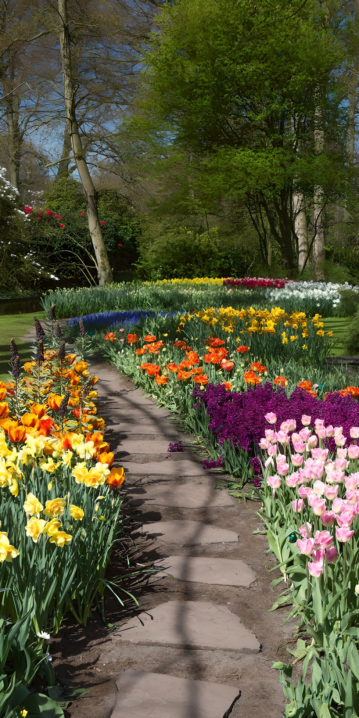 HPDK41997: Solrig stensti mellem forårets blomster