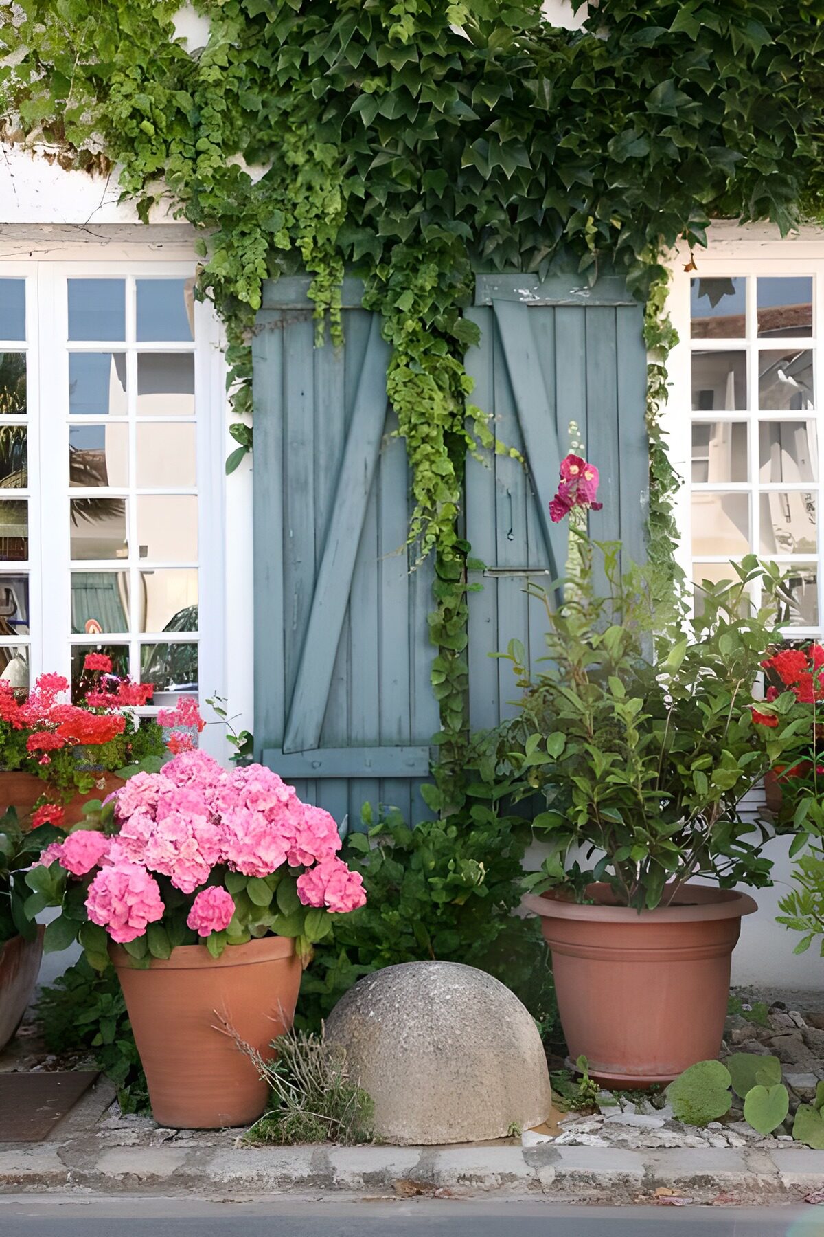 HPDK10351: Blå skodder og hortensia i sommersol