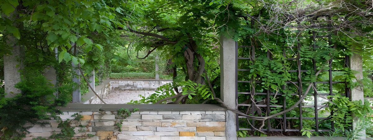 HPDK47623: Tilgroet pergola bag den lyse stenmur