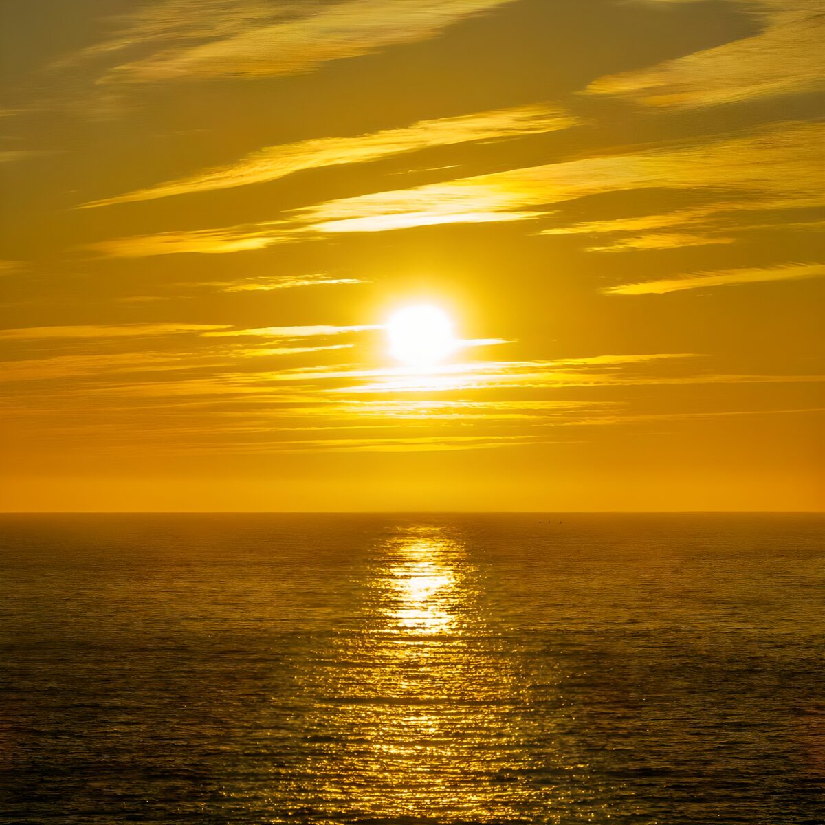 Gylden sol over det åbne hav