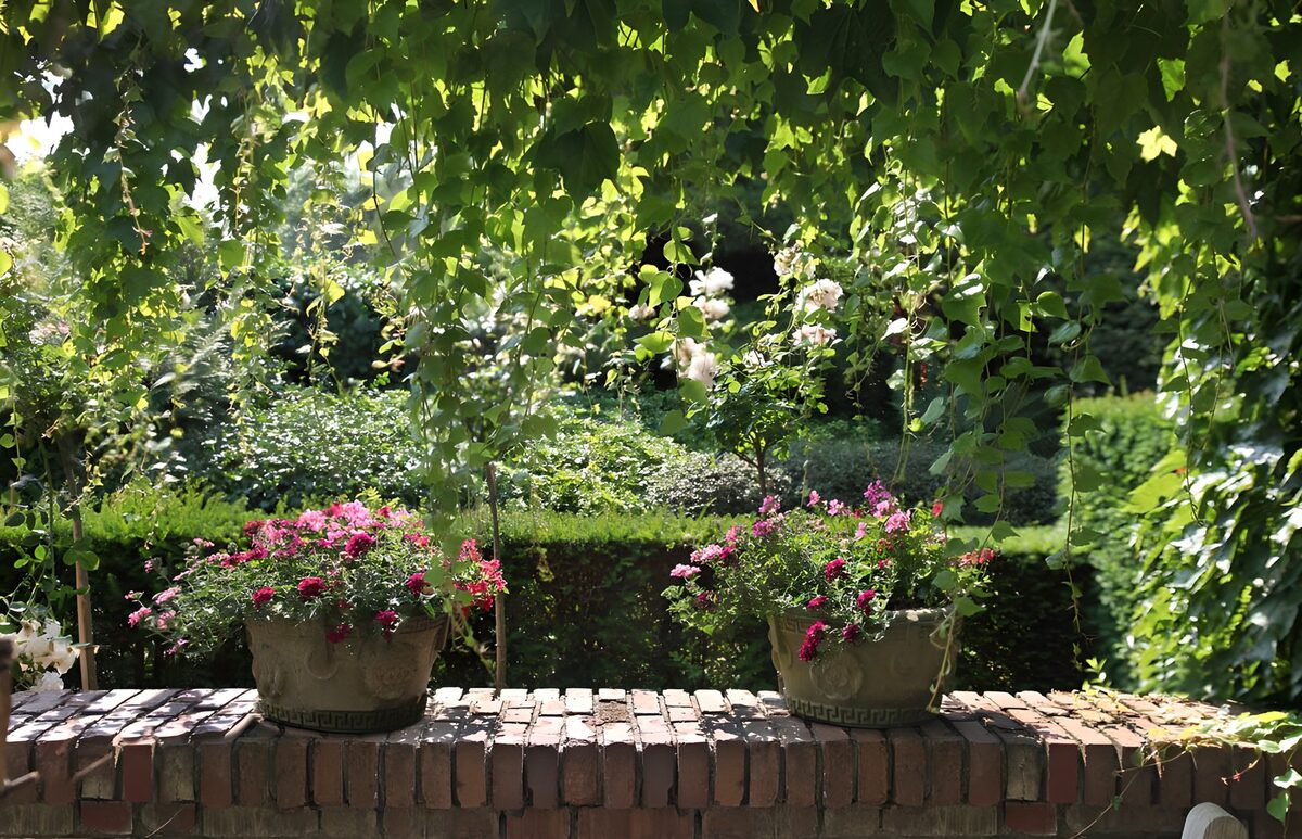 HPDK65111: Blomsterkrukker på en mur i sol og skygge