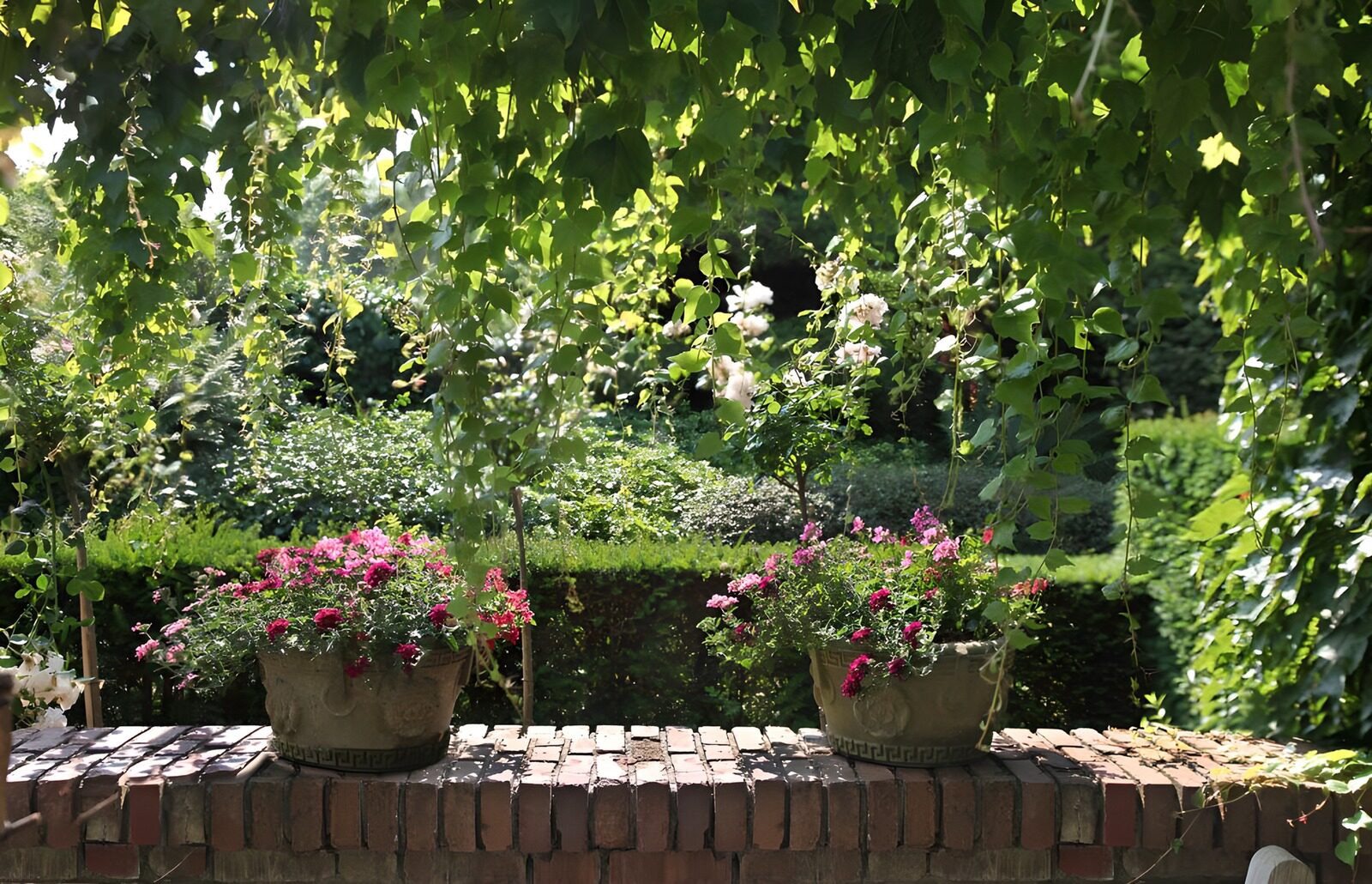 HPDK65111: Blomsterkrukker på en mur i sol og skygge