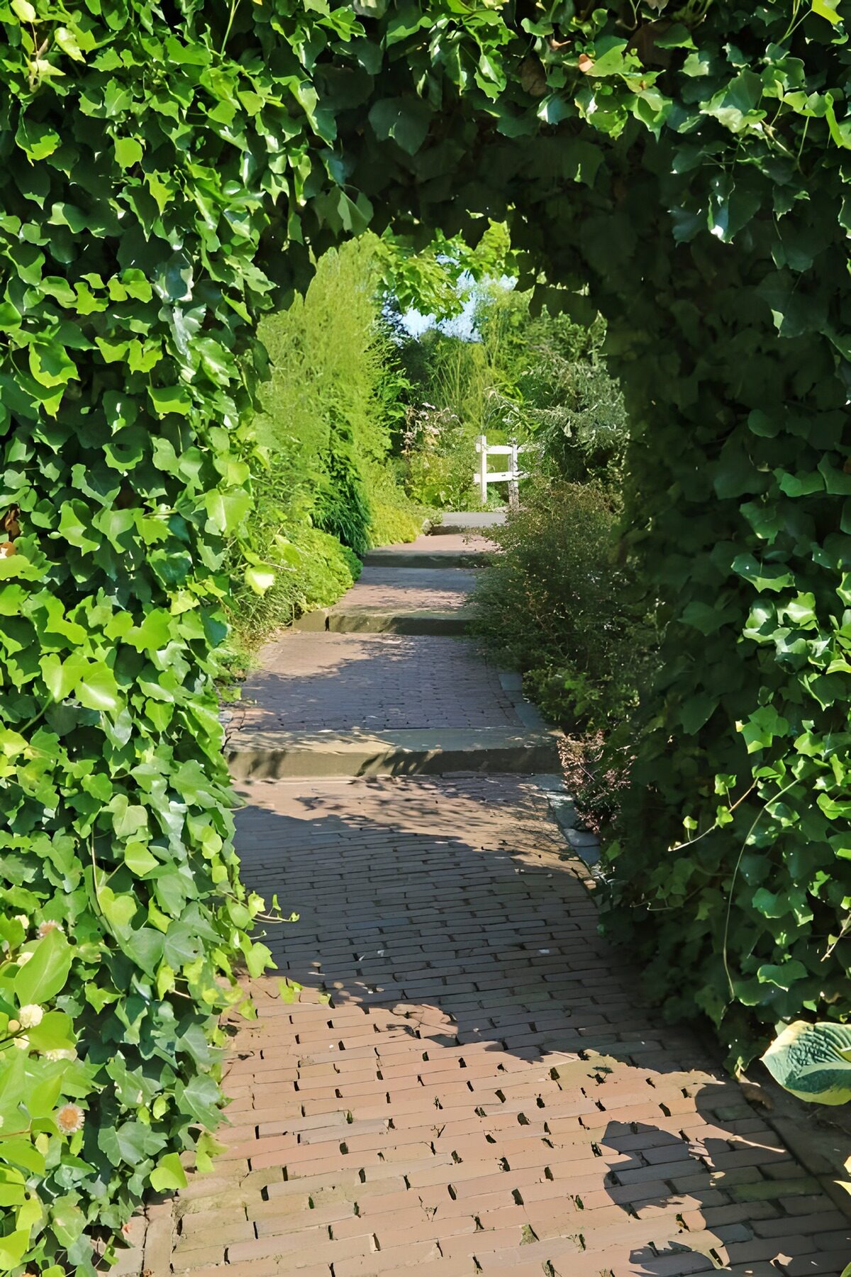 HPDK57191: Skyggefuld havesti under vedbend