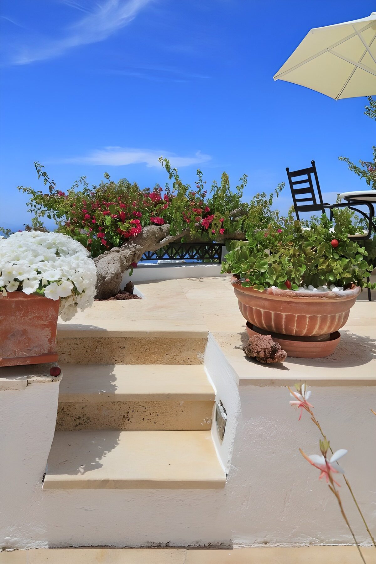 HPDK92344: Solrig terrasse med trappe og blomster