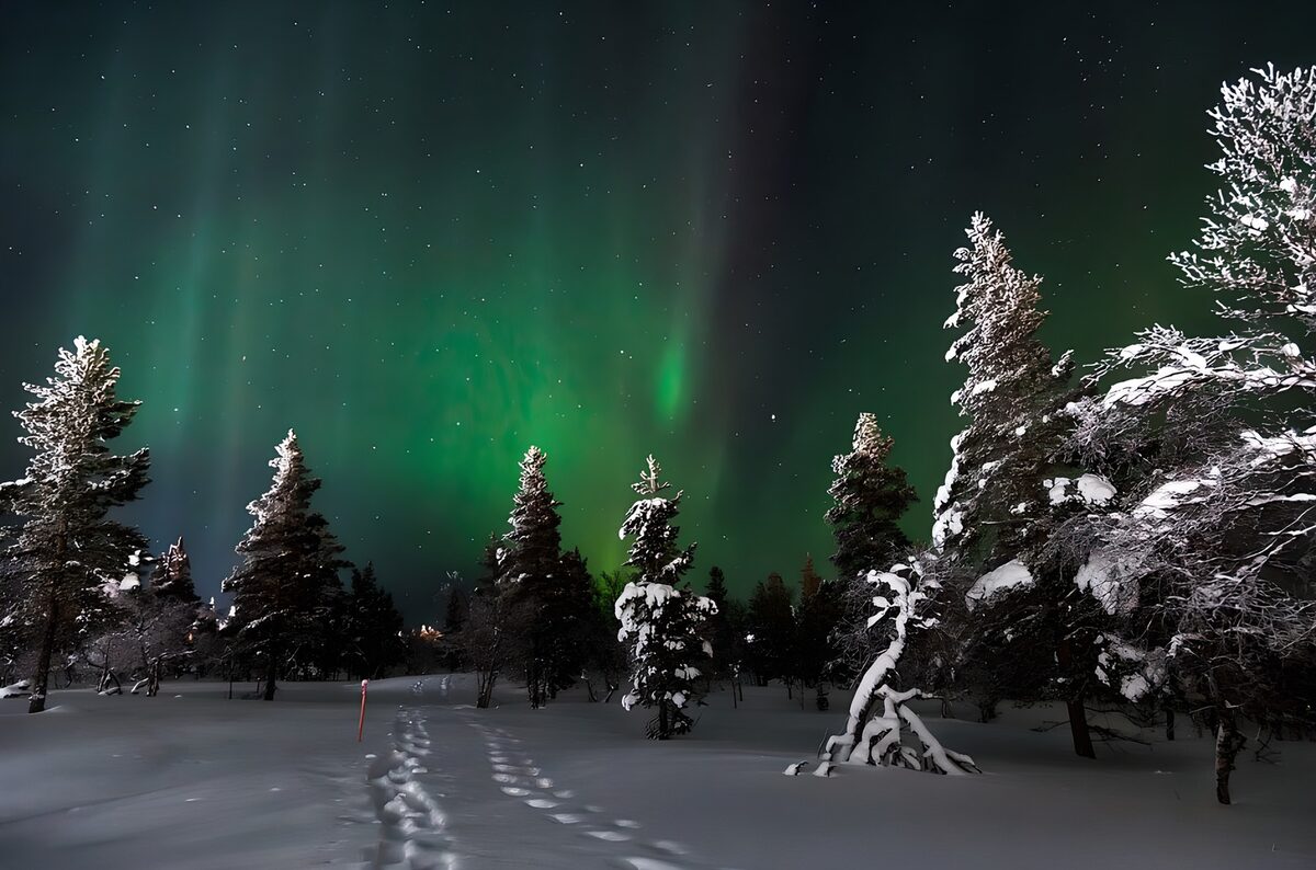 Nordlys over en snedækket nåleskov