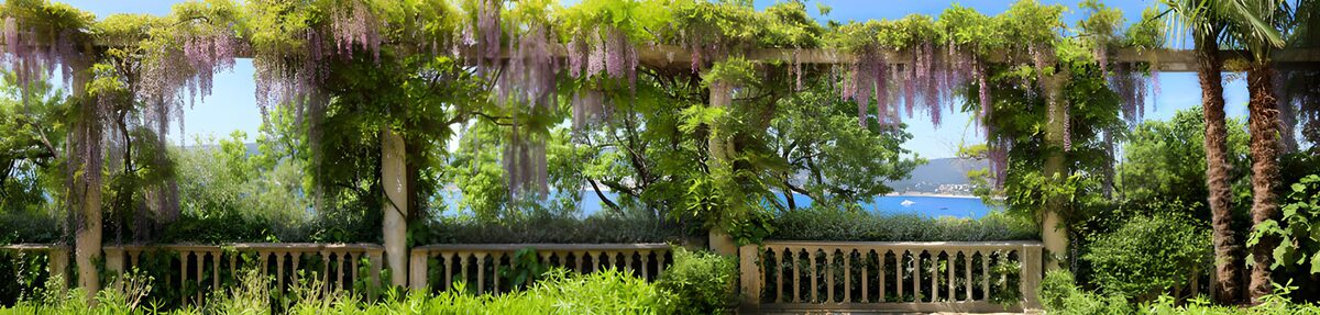 HPDK17814: Solrig pergola med blåregn og havudsigt