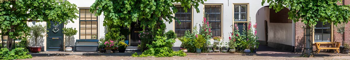 HPDK13687: Husfacader med frodige klatreplanter