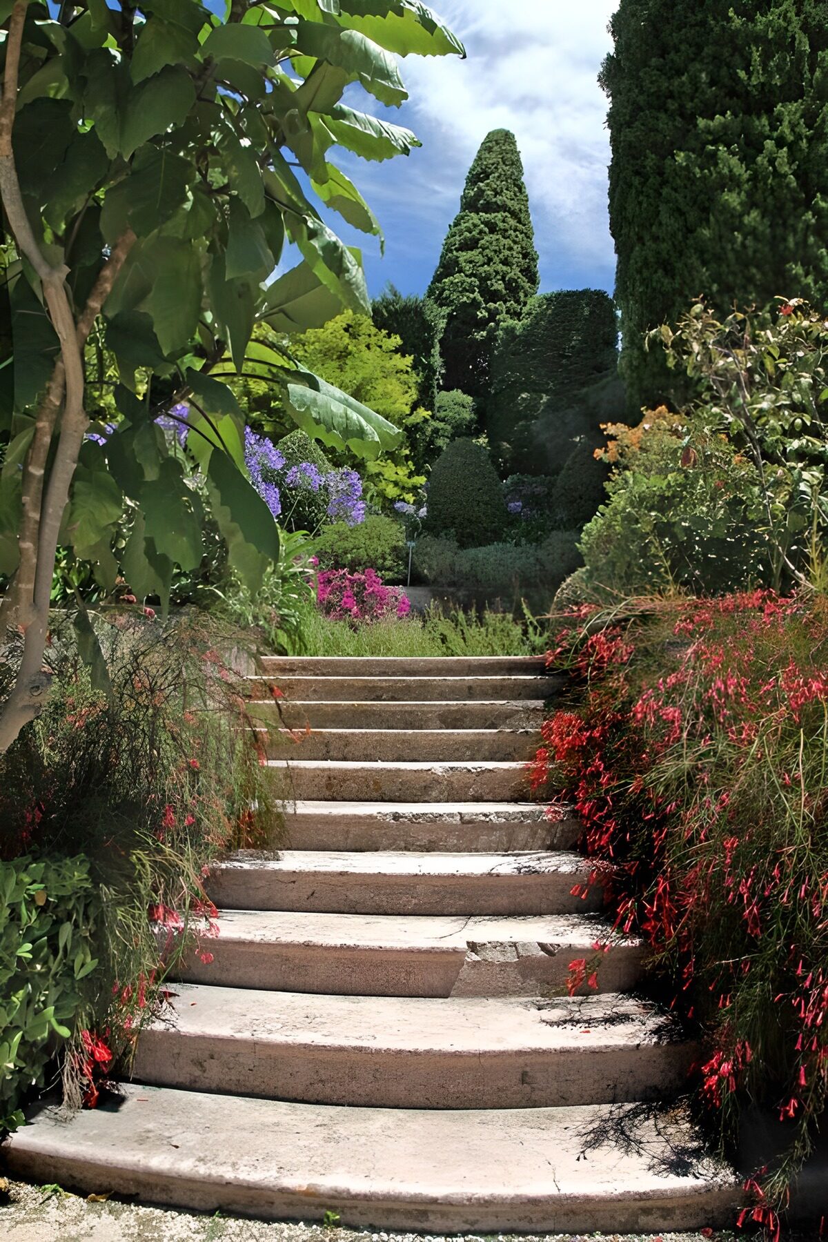 HPDK59543: Stentrappe i en frodig blomsterhave