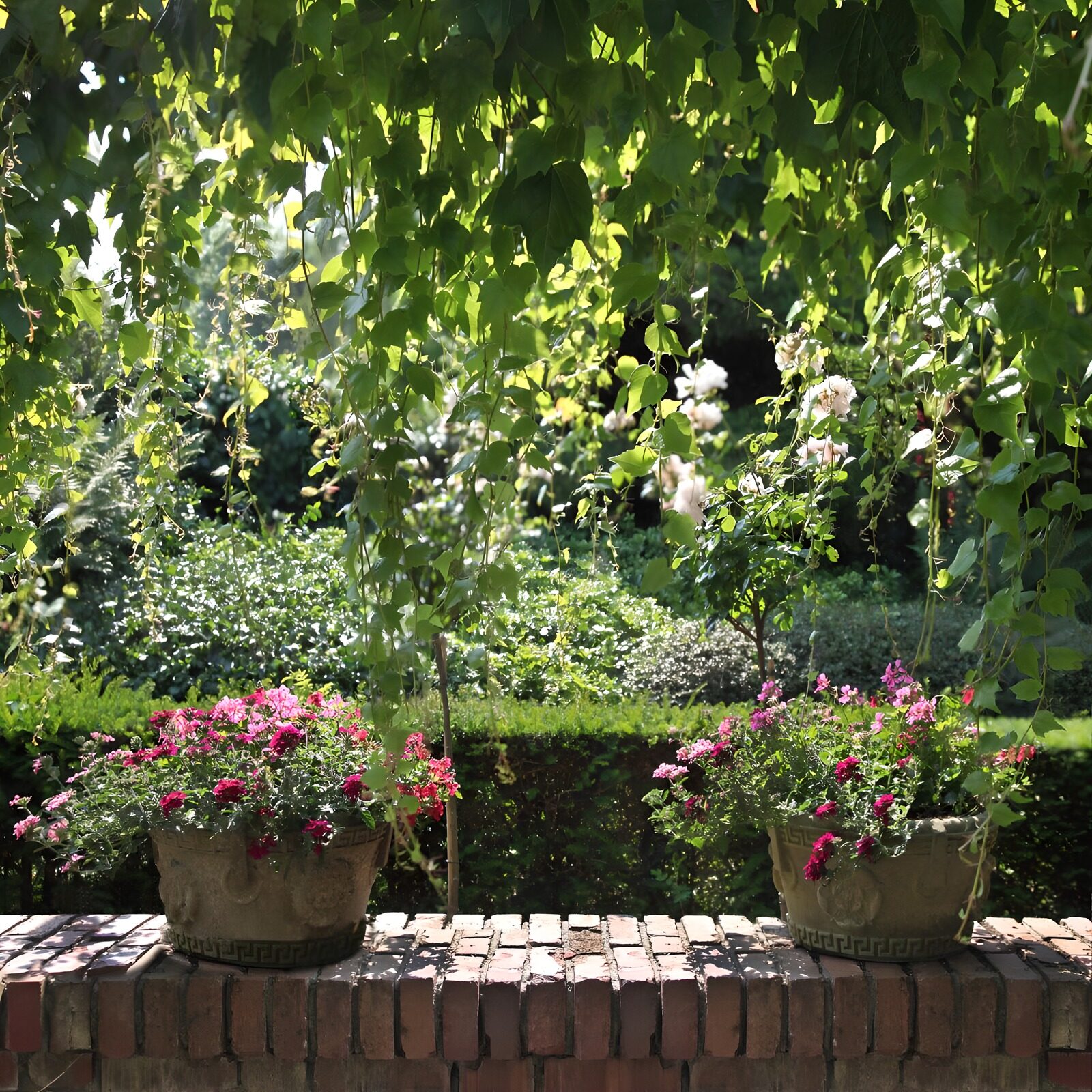 HPDK42662: To blomsterkrukker på en lav havemur
