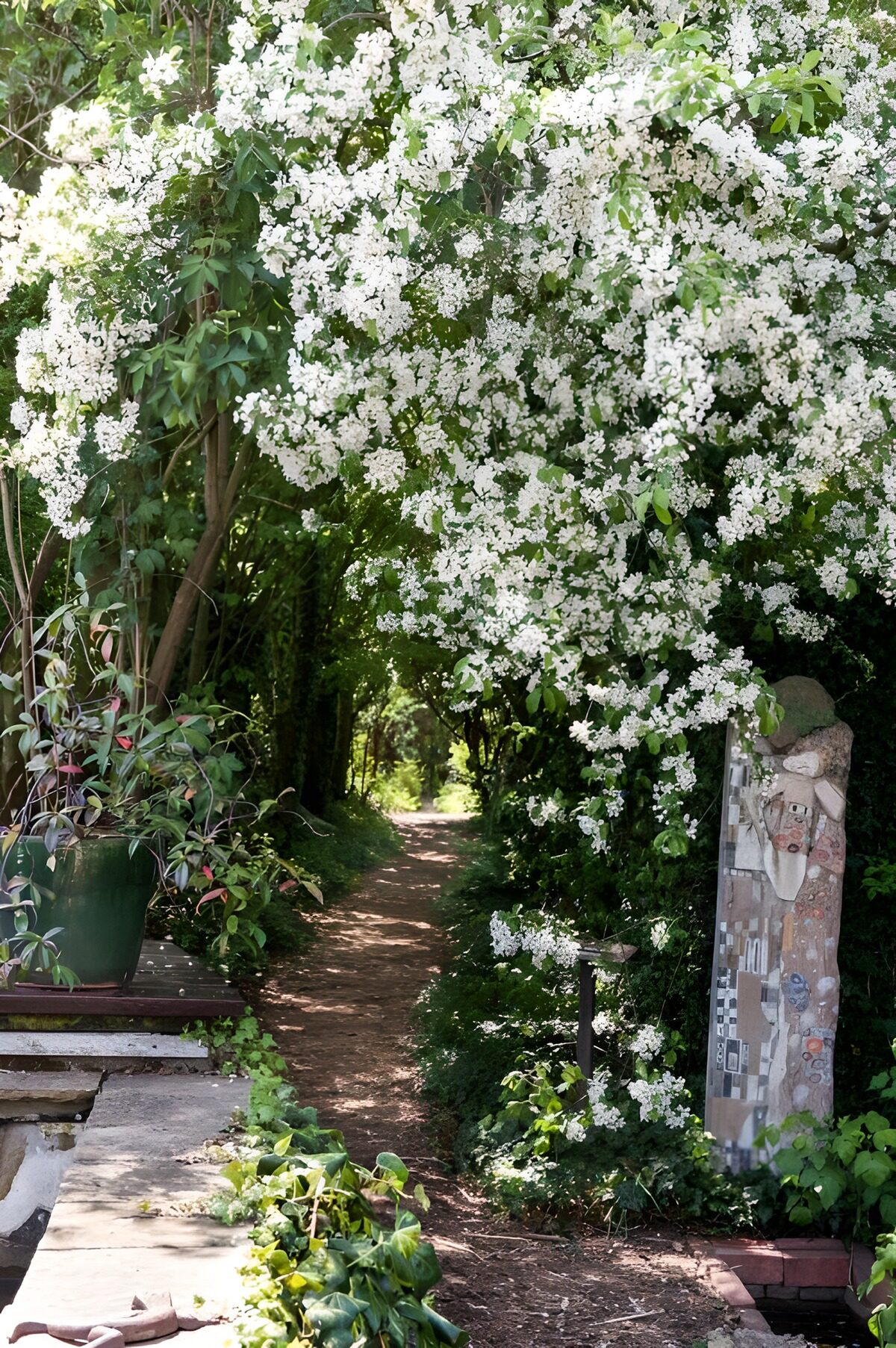 HPDK84224: Skyggefuld havesti under hvide blomster