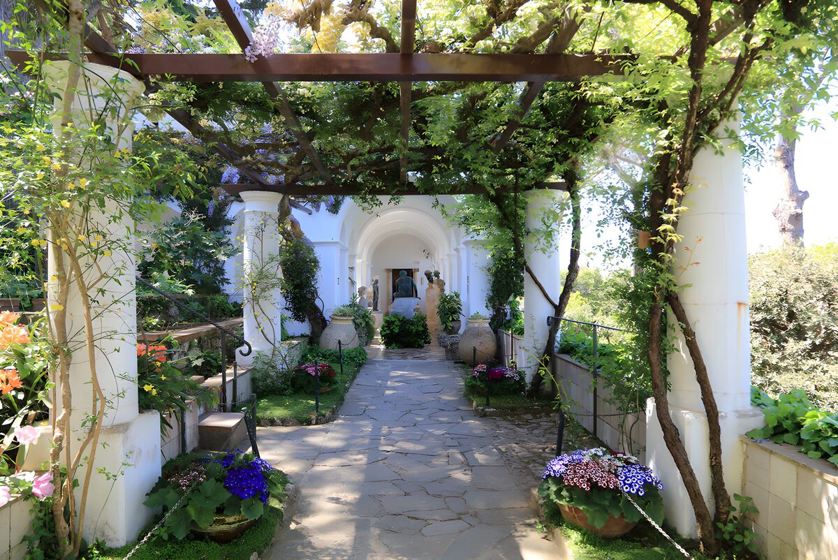 HPDK75867: Blomstrende pergola i sol og skygge