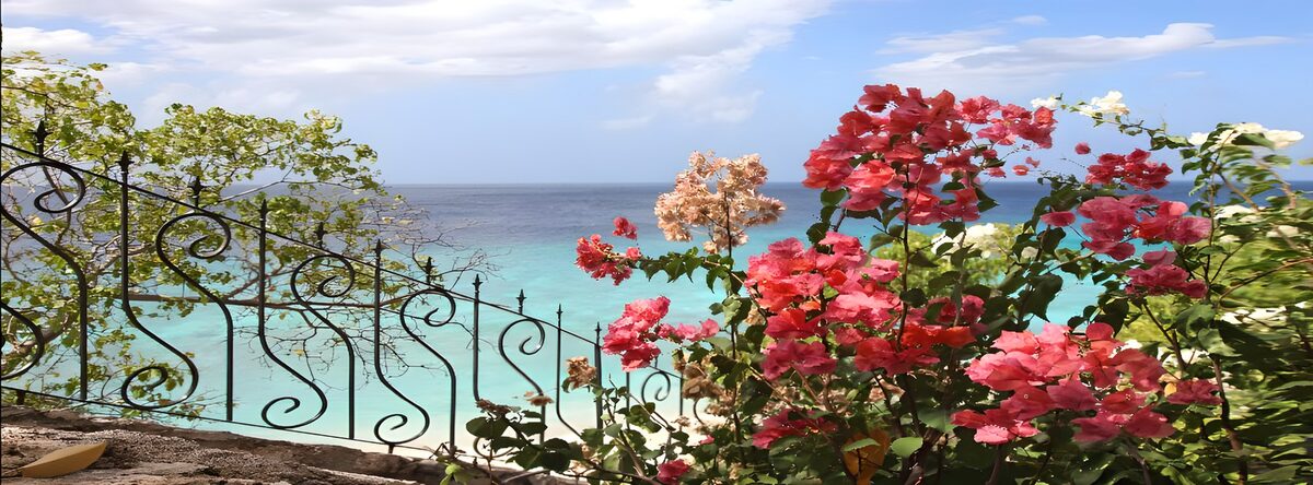 HPDK37058: Bougainvillea og turkis hav i solskin