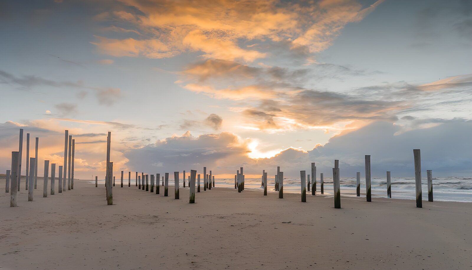 HPDK22089: Træpæle på stranden i solnedgang