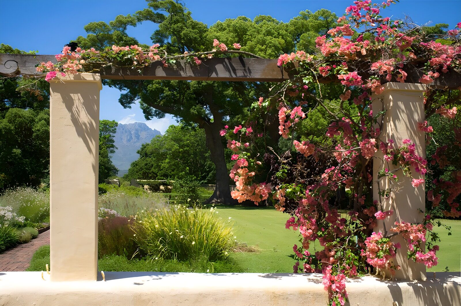 HPDK78224: Solbeskinnet pergola med bougainvillea