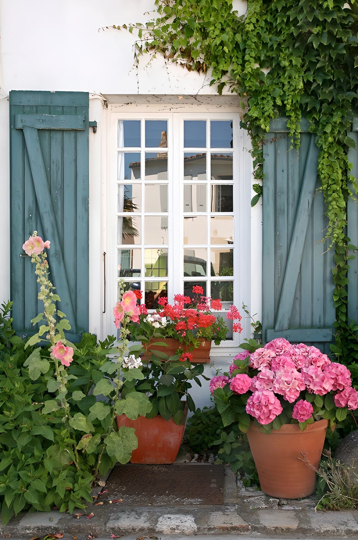 Blå skodder og hortensia i sommerhumør