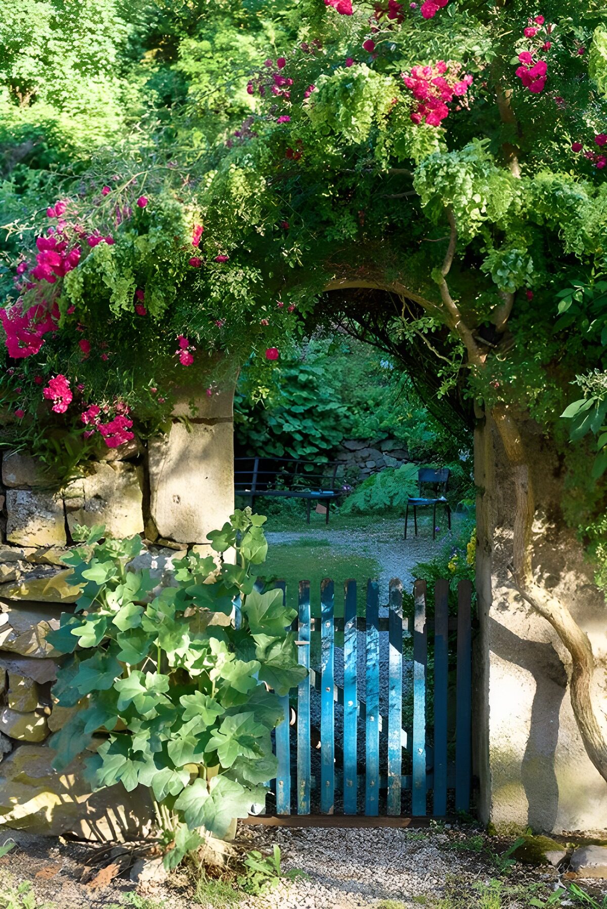 HPDK25495: Blå havelåge under en blomstrende stenbue