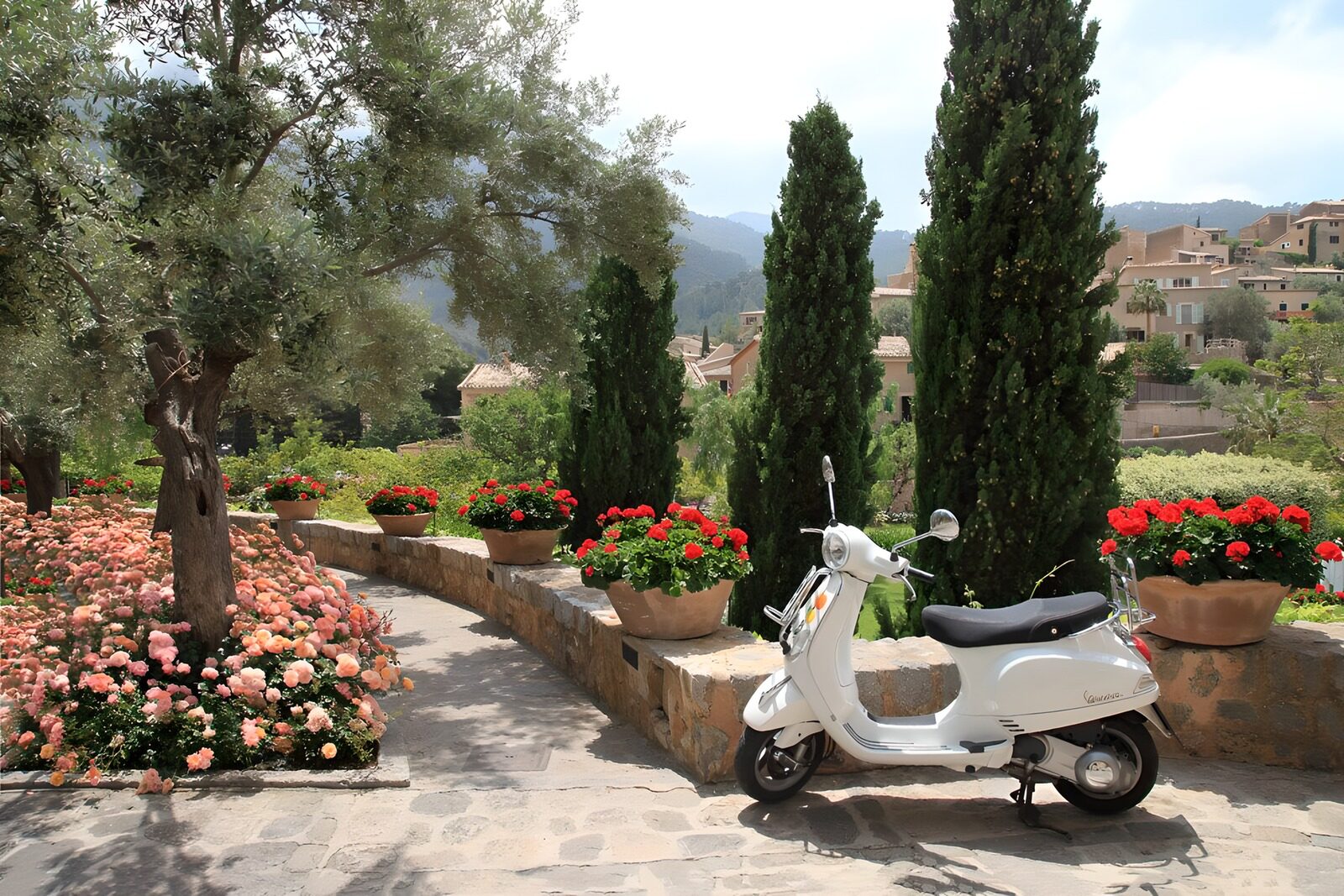 HPDK94621: Hvid scooter i en solrig blomsterhave