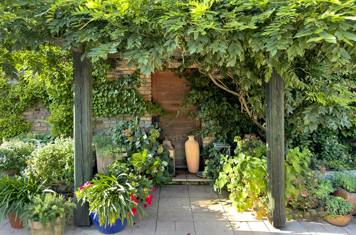 Frodig terrasse med krukker og pergola