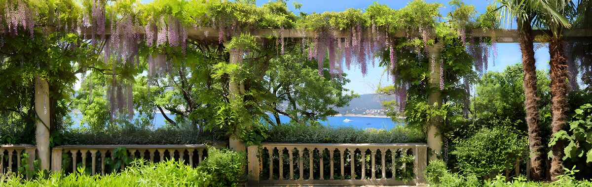 HPDK28965: Pergola med blåregn og udsigt til havet