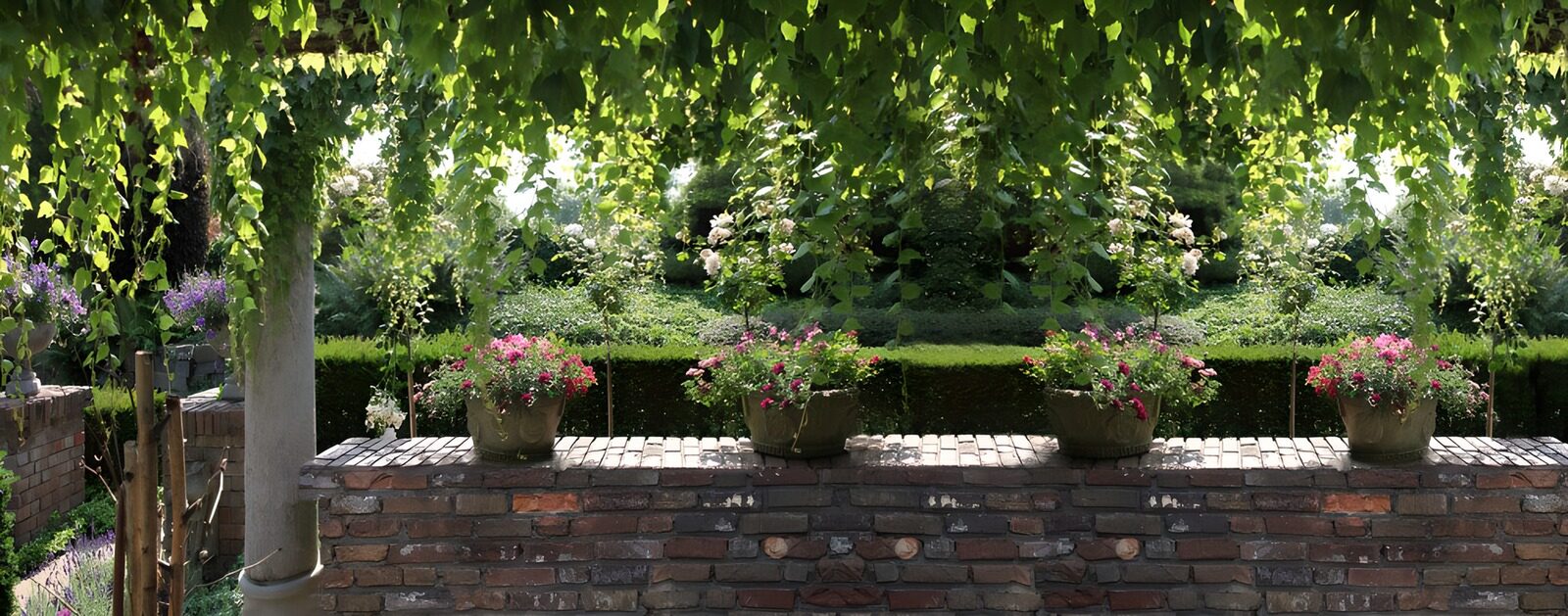 HPDK30637: Krukker med lyserøde blomster i skyggen