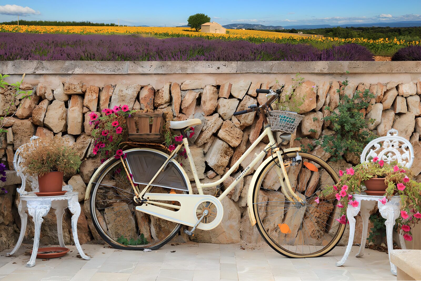 HPDK11590: Cremefarvet cykel ved en solvarm stenmur