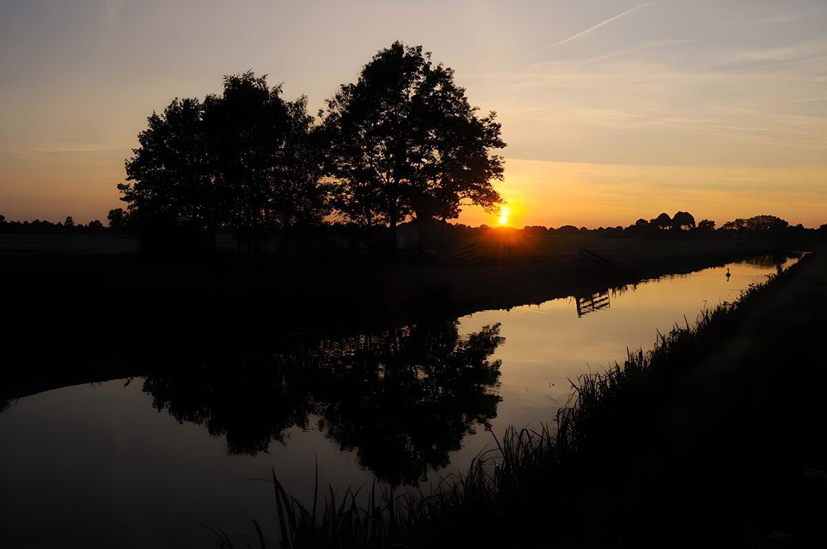 Træer og stille vand i solnedgang