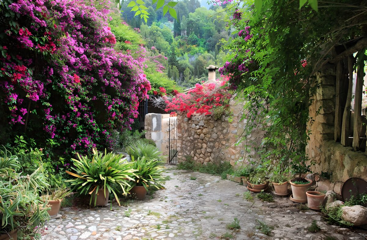 Frodig gårdhave med stensti og blomster