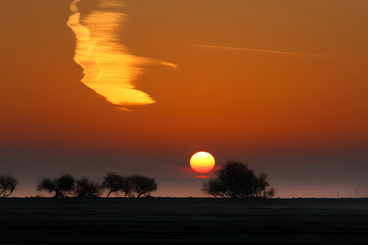 Solnedgang og stille træsilhuetter