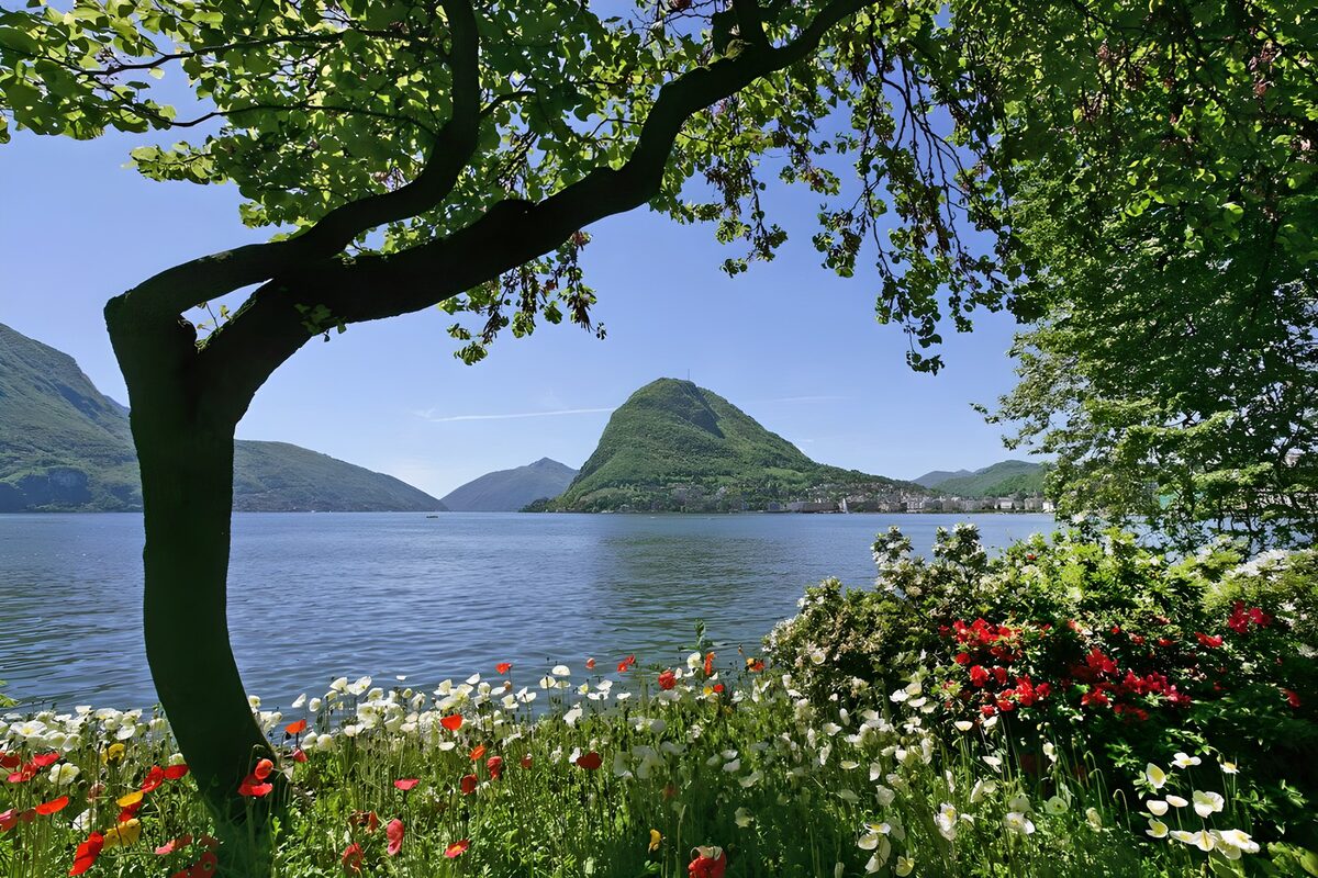 HPDK63607: Blomsterhave ved søen i sommersol