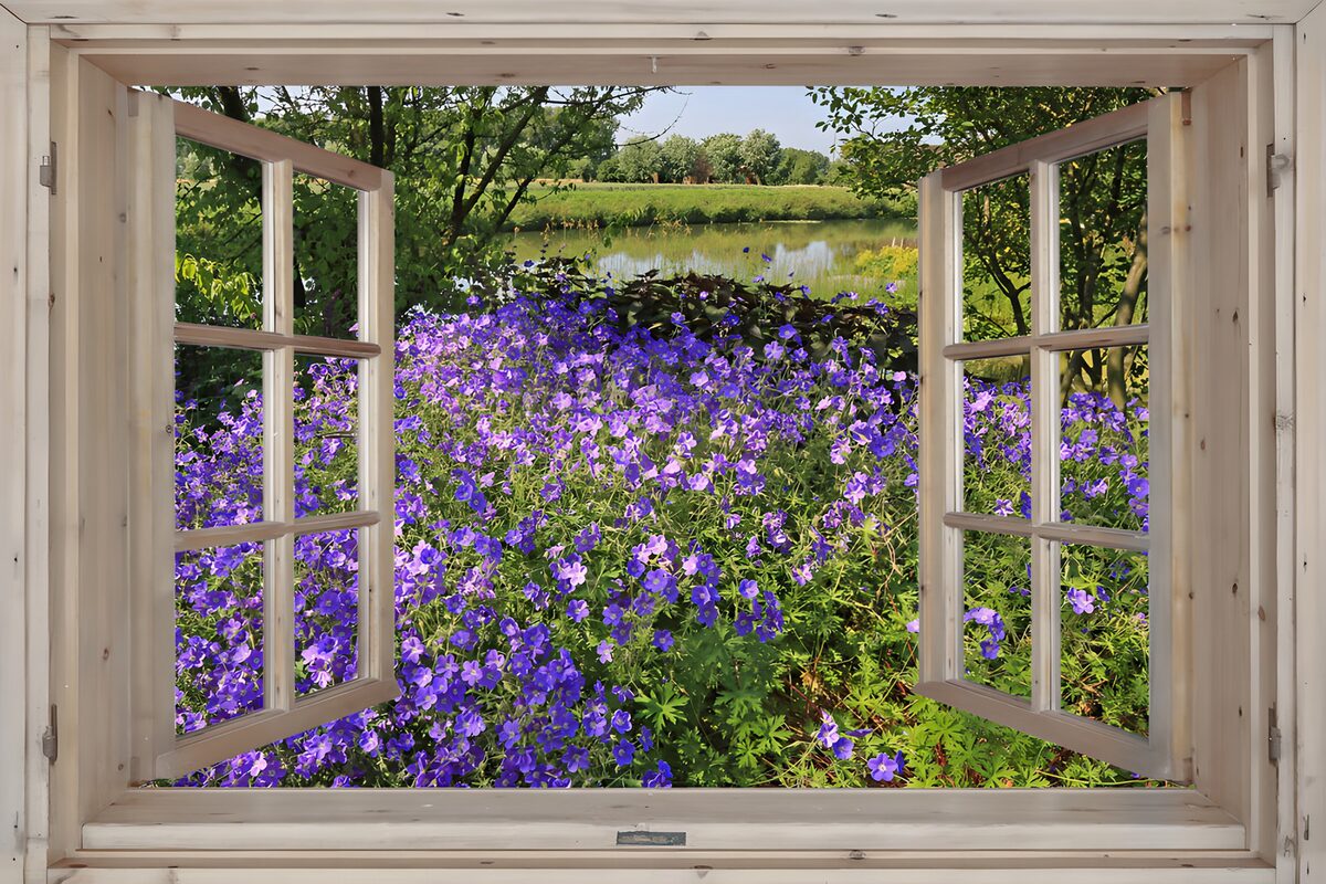 Åbent vindue til lilla blomster og vand