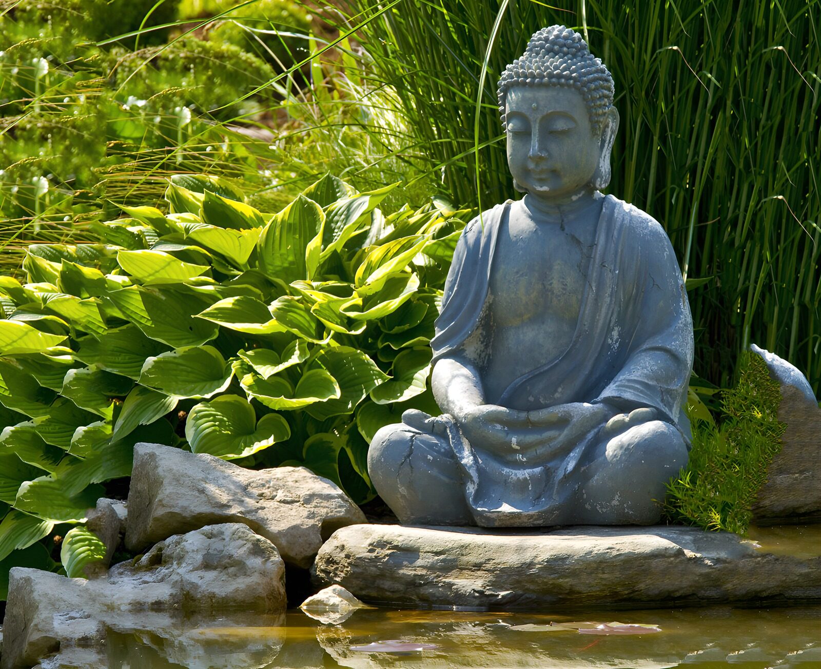HPDK79118: Buddhastatue ved en grøn havedam
