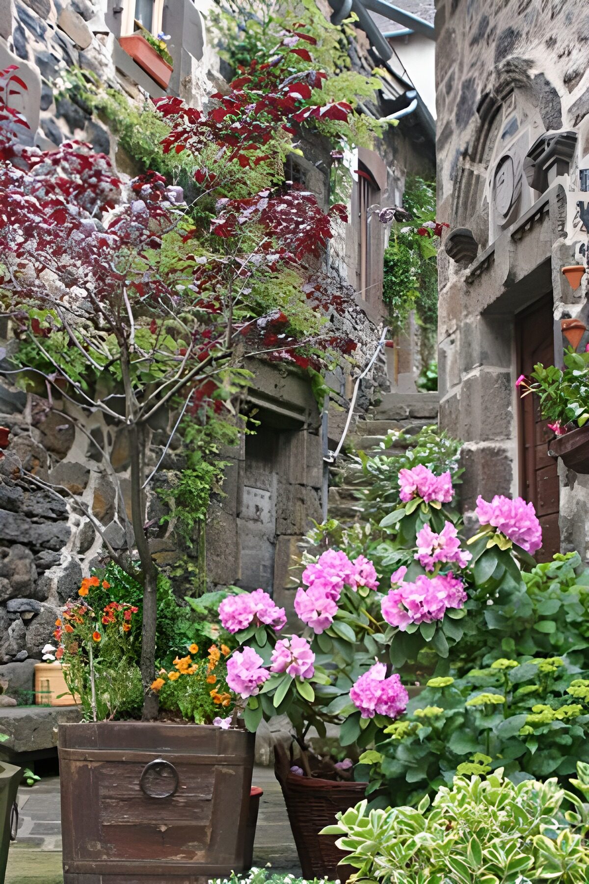 HPDK17415: Stentrappe og blomster i en stille gyde