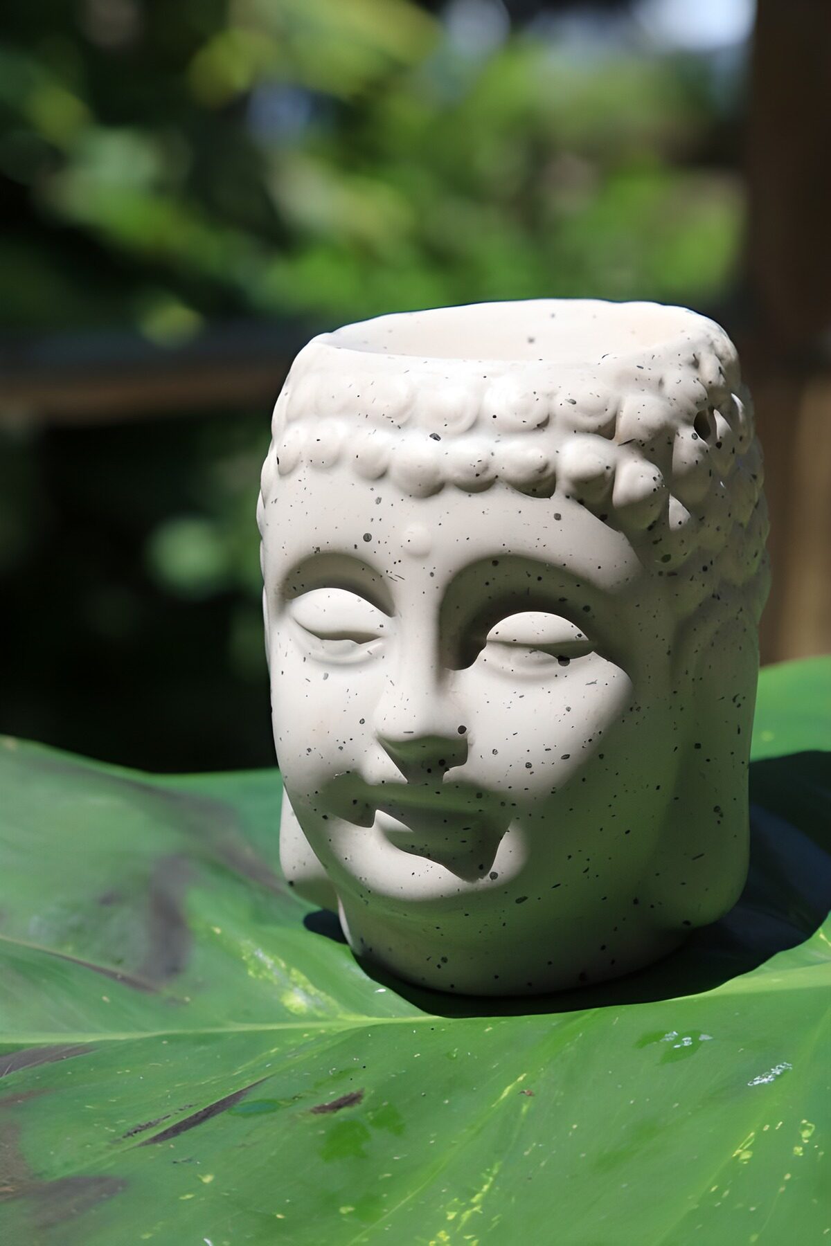 Et grønt favntag om Buddhas hoved