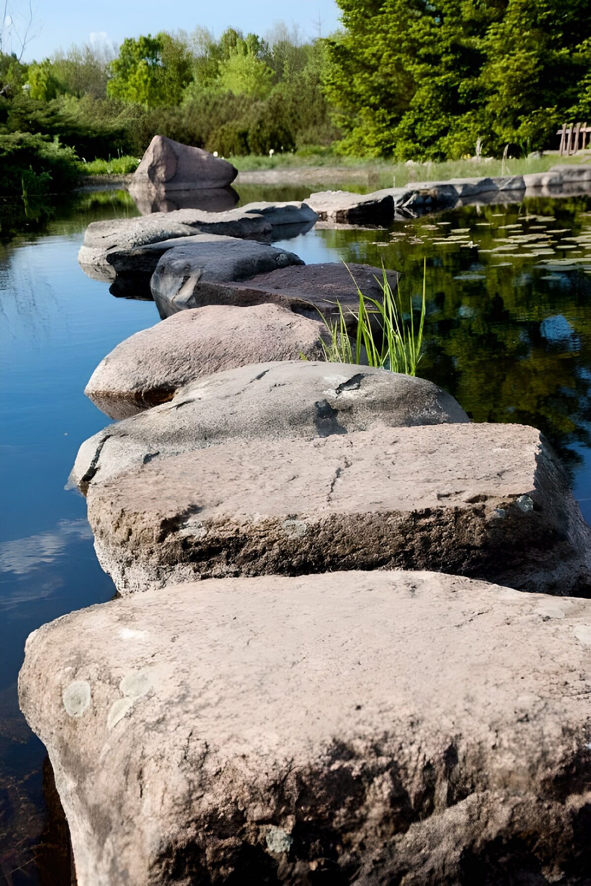HPDK29040: Trædesten gennem den stille dam