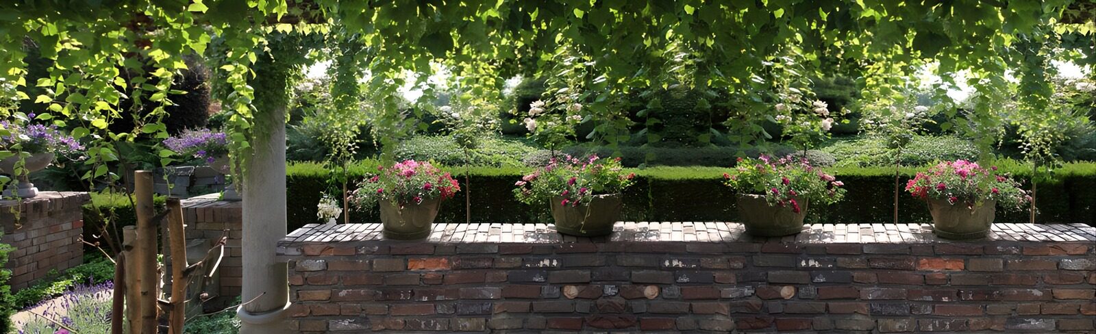 HPDK17830: Blomsterkrukker på en solplettet mur
