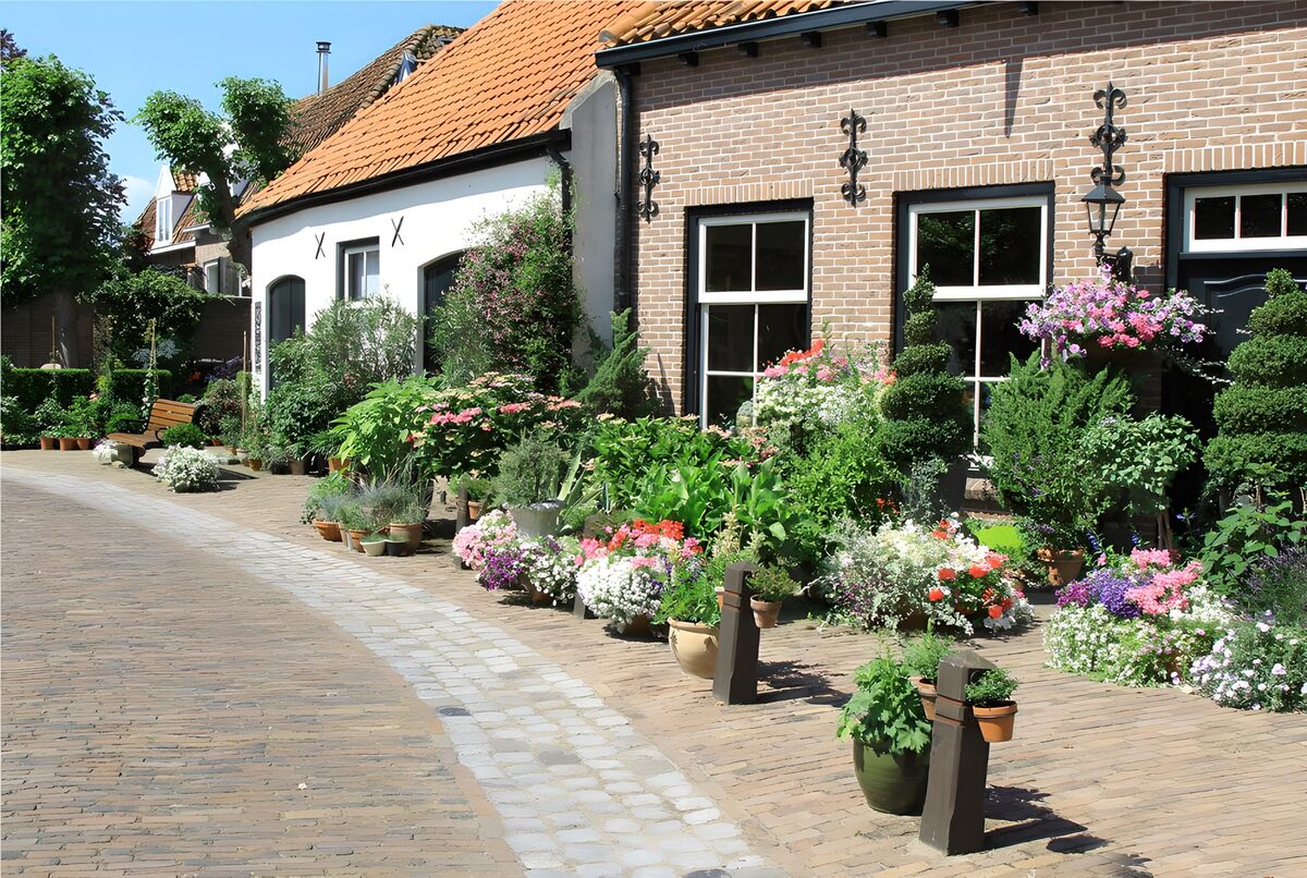 Solrig gade med blomsterkrukker