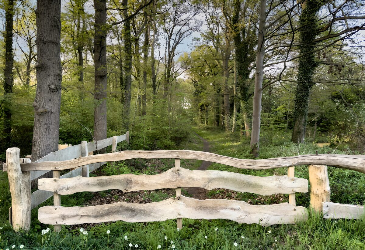Trælåge ved en stille skovsti