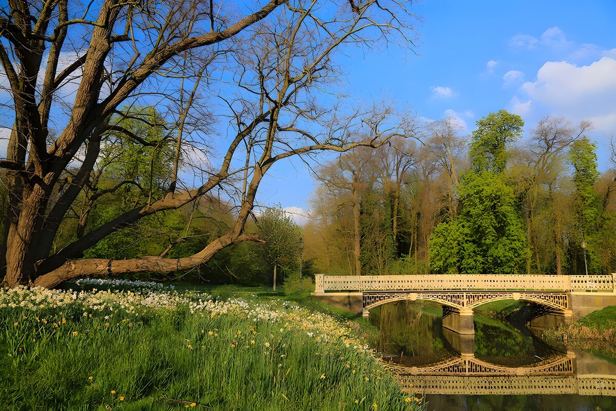 HPDK28850: Lys bro og blomster i forårsparken