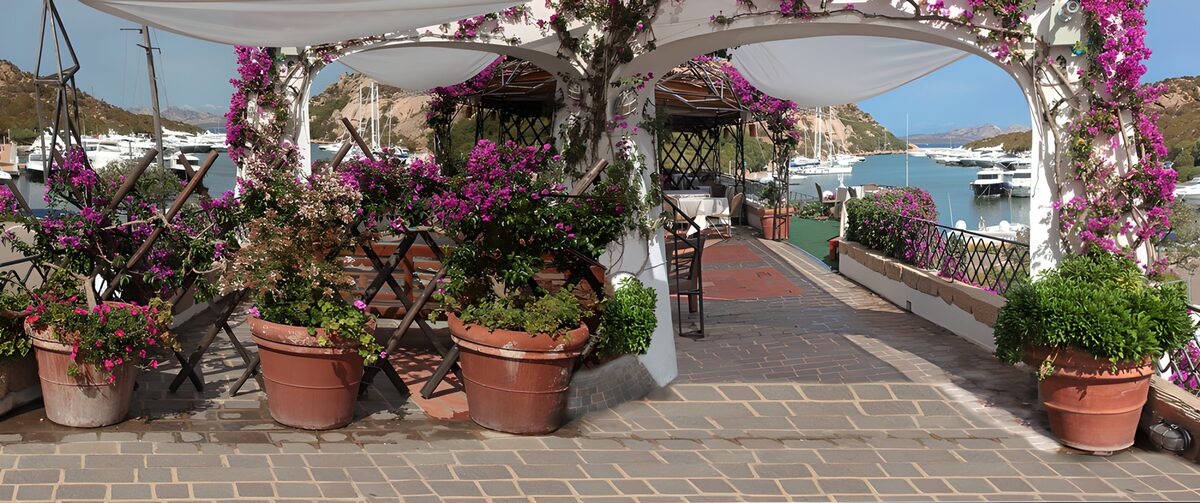 HPDK70328: Solrig terrasse med blomster ved havnen