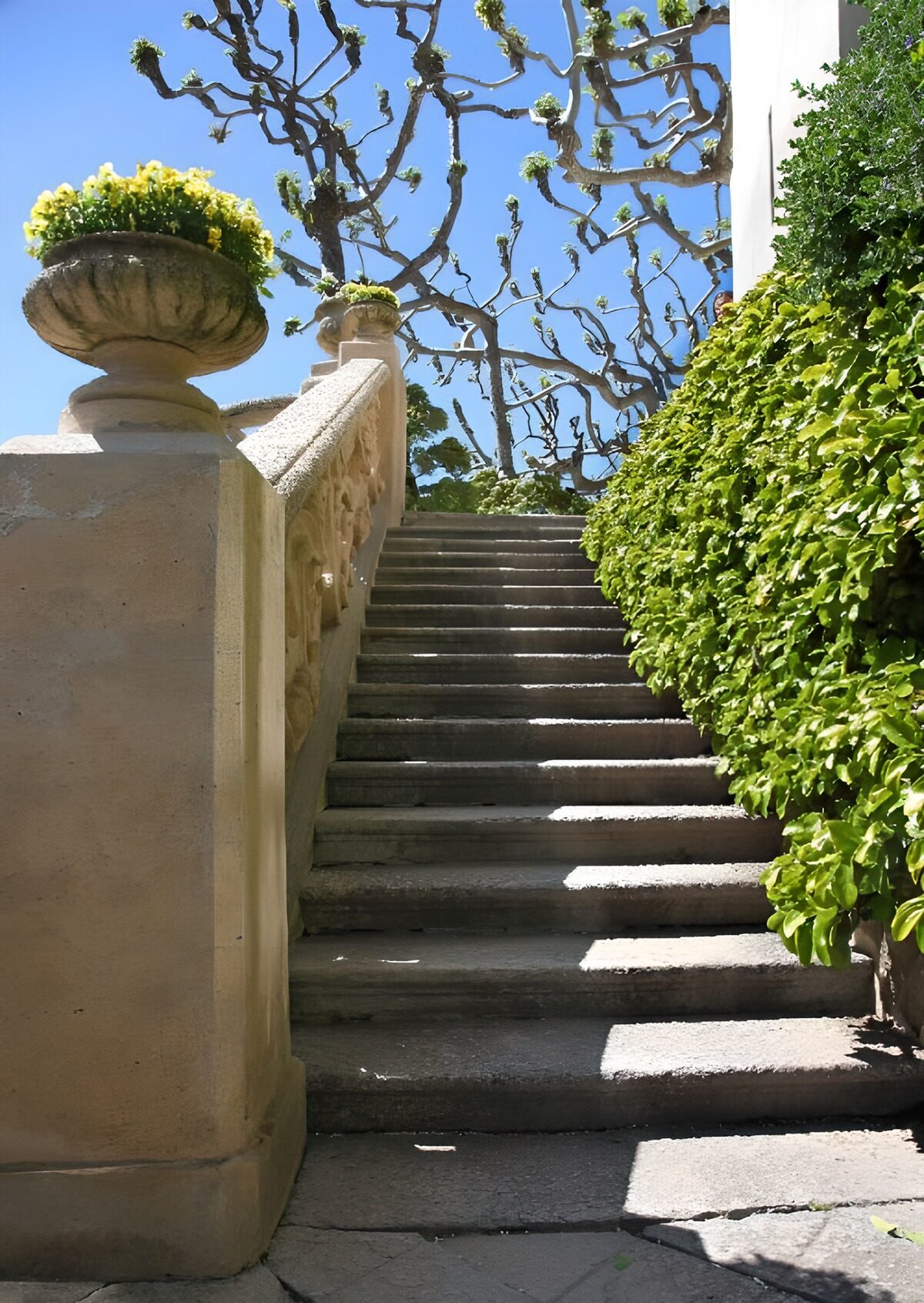 HPDK55692: Sol på havens trappe og stenbalustrade