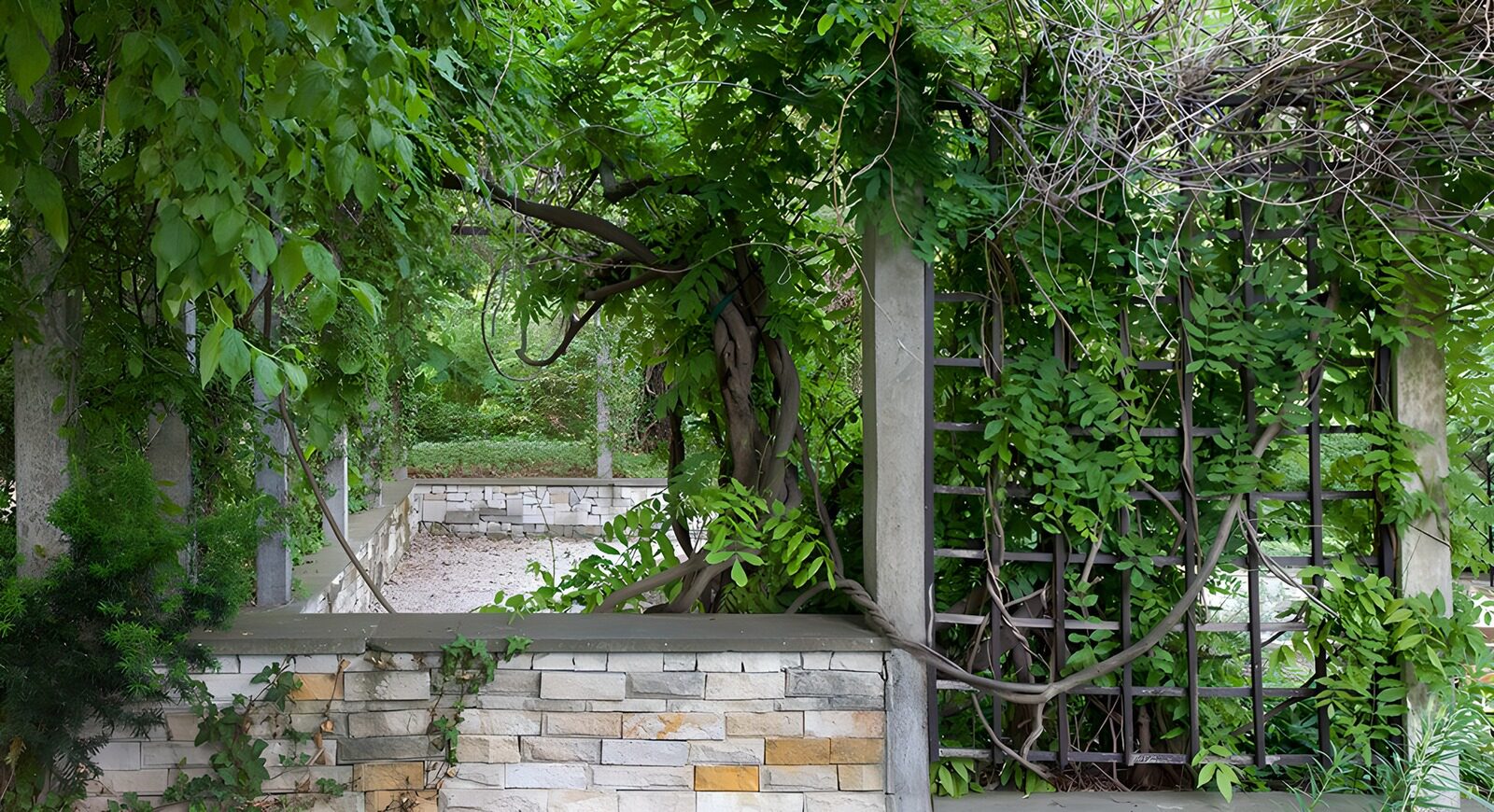 HPDK85115: Frodig pergola bag en lav stenmur
