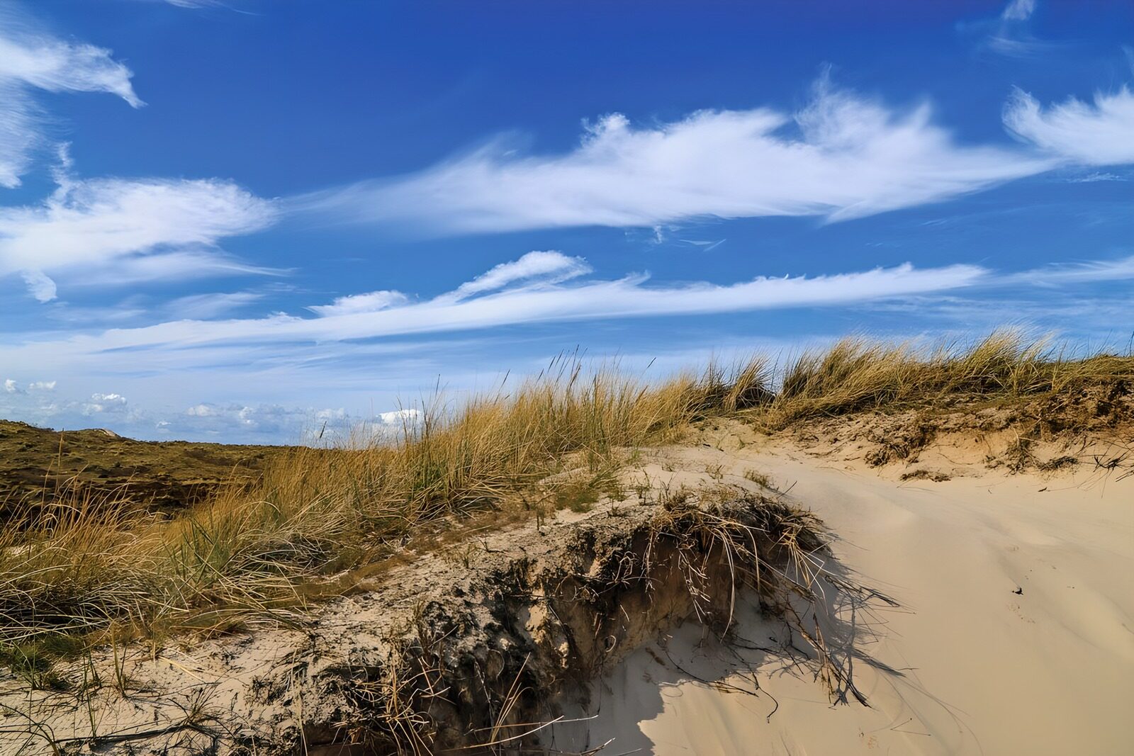 HPDK21737: Sandklitter under en stor, blå himmel