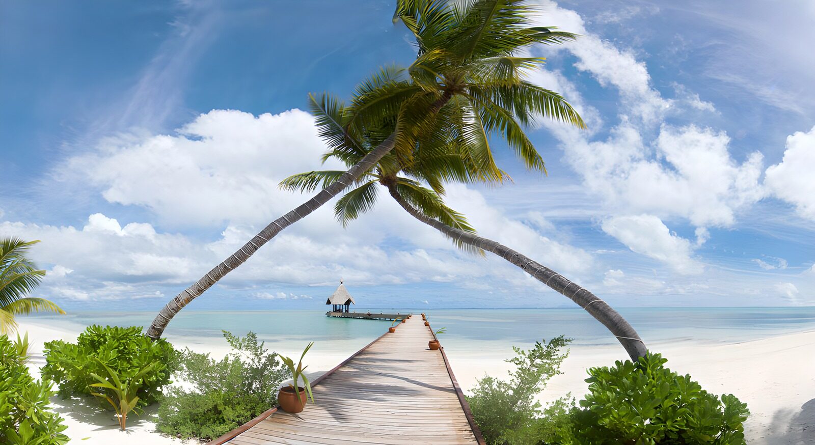 HPDK34126: Under palmernes bue venter havet