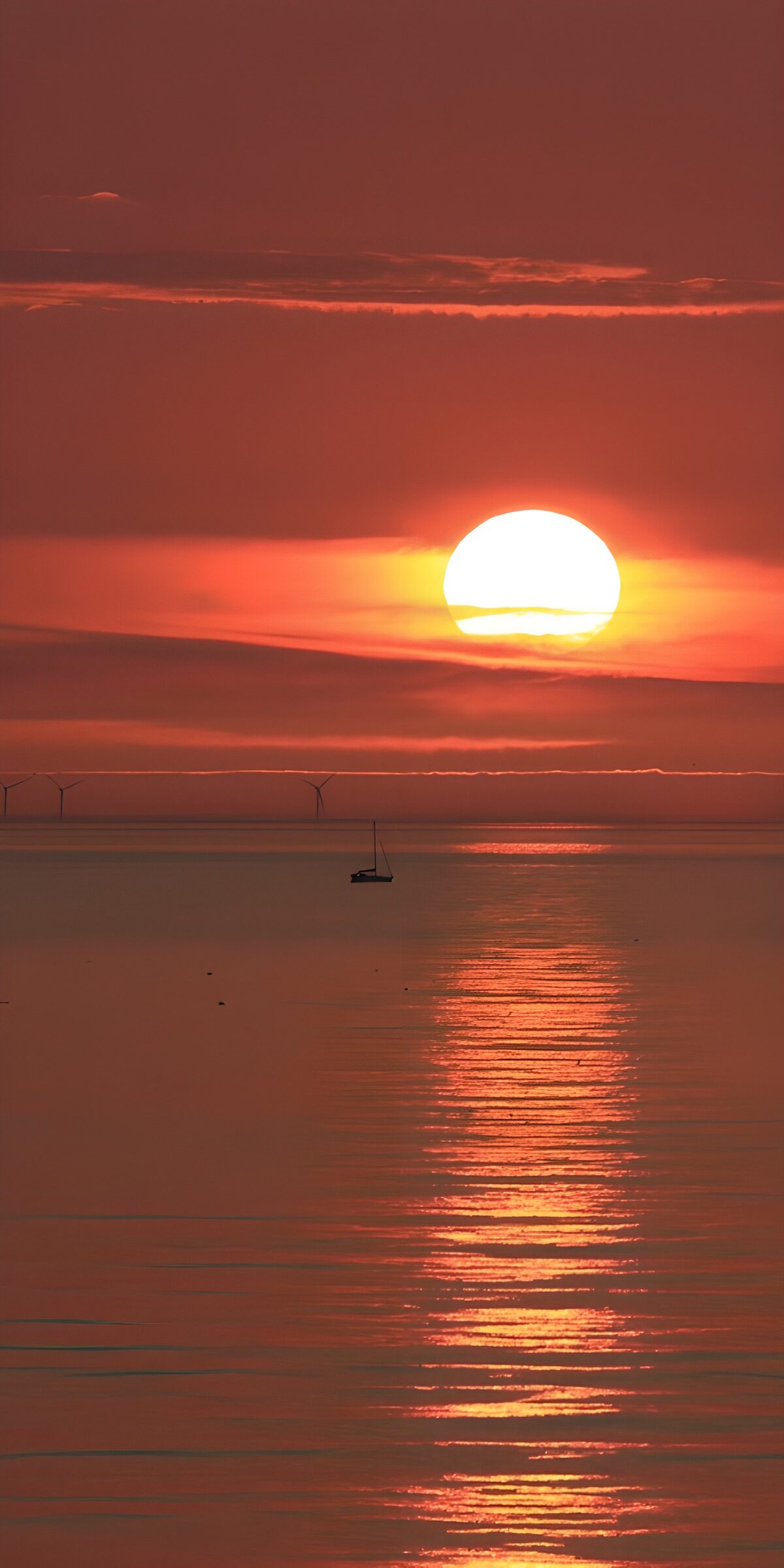 HPDK26640: Sejlbåd på stille hav i solnedgang