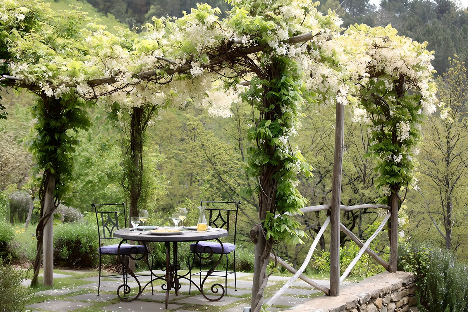 HPDK77543: Dækket bord under en blomstrende pergola