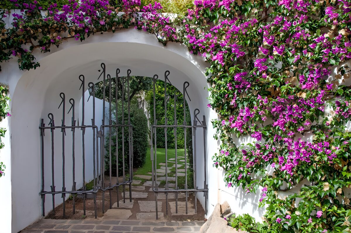 HPDK51861: Hvid havebue med pink blomster i sol