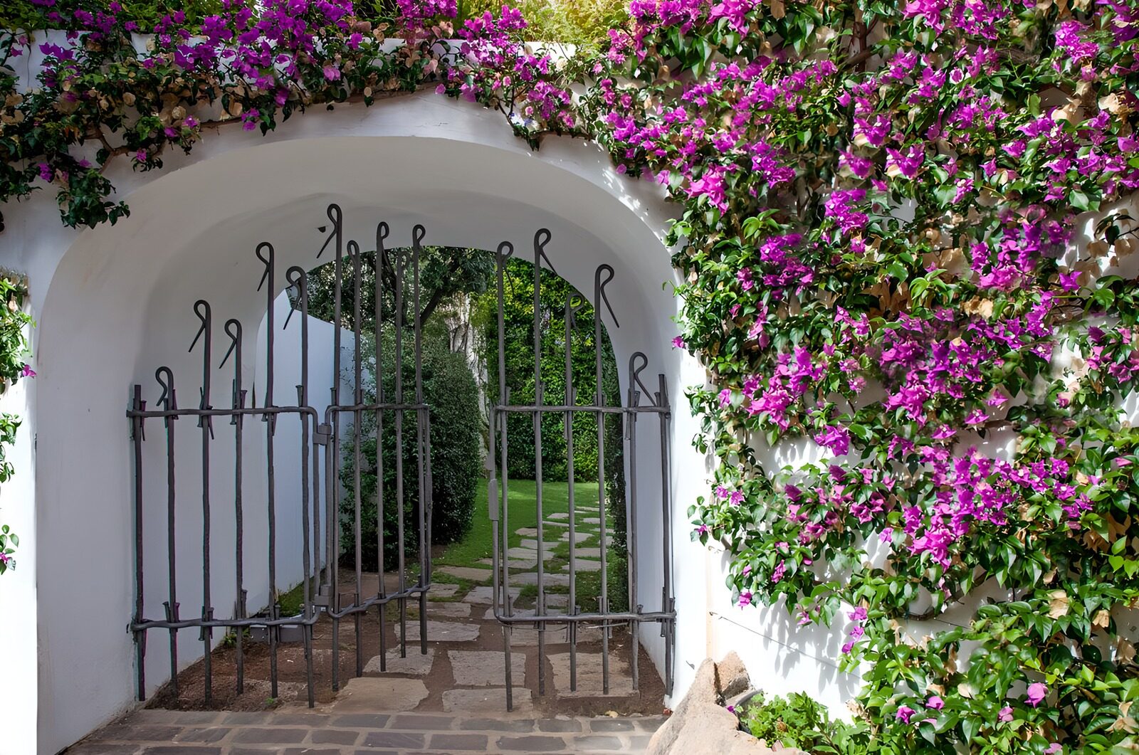 HPDK51861: Hvid havebue med pink blomster i sol