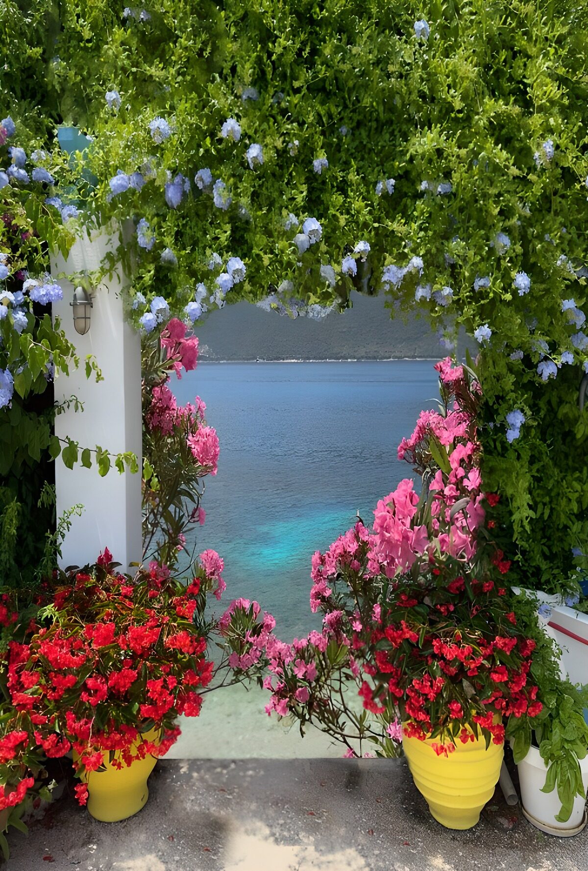 Blomsterbue med udsigt til havet