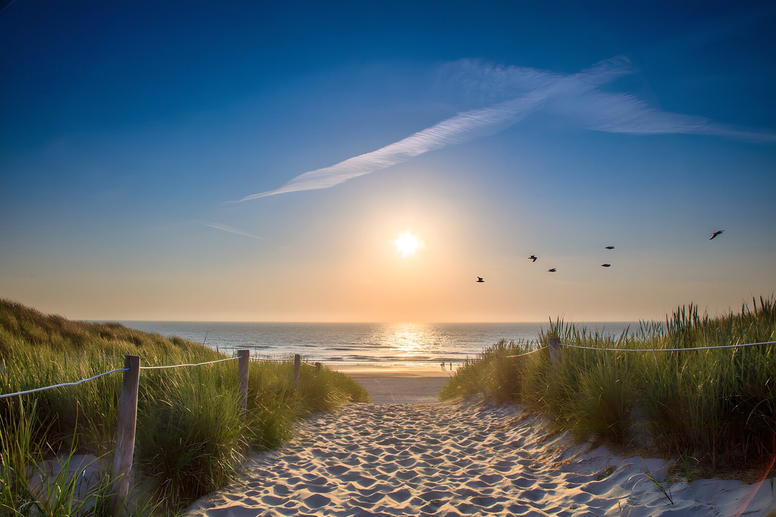 HPDK14724: Sandsti til stranden i solnedgang