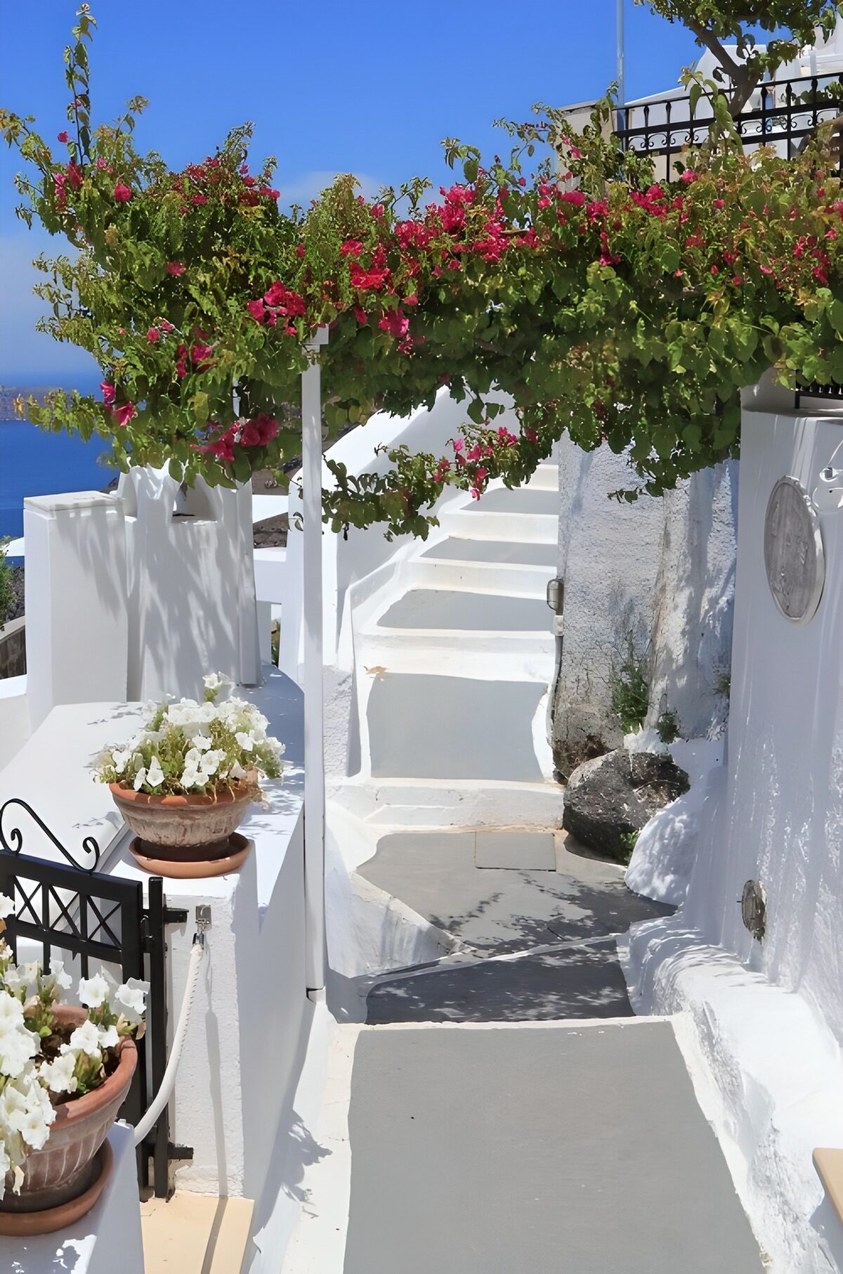 Hvid trappegyde med pink bougainvillea